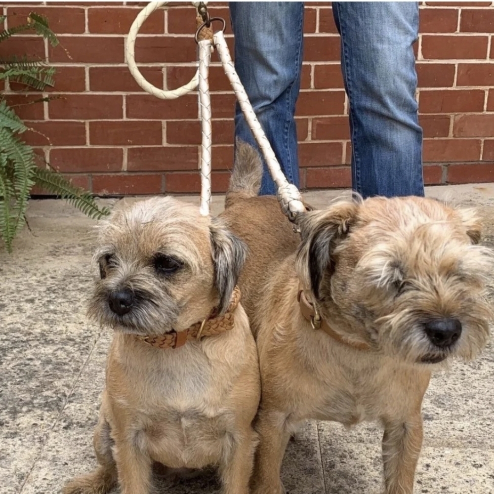 Georgie Paws Double Trouble Dog Lead Attachment Chalk